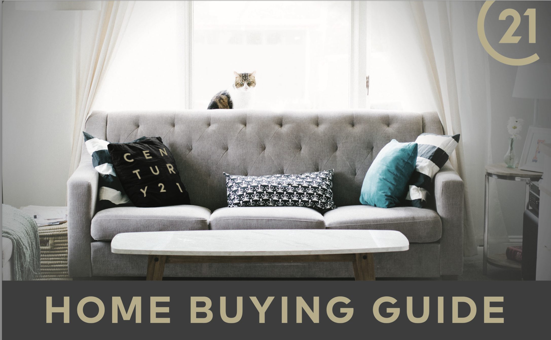 Home buying guide pic